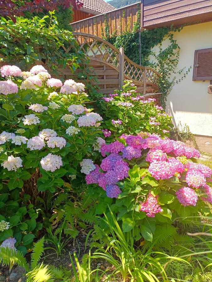 Haus Flora - Ferienwohnung 보덴스도르프 외부 사진
