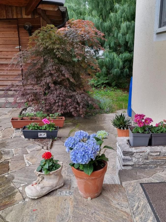 Haus Flora - Ferienwohnung 보덴스도르프 외부 사진